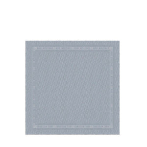 DIOR - Gray Dior Oblique Shawl