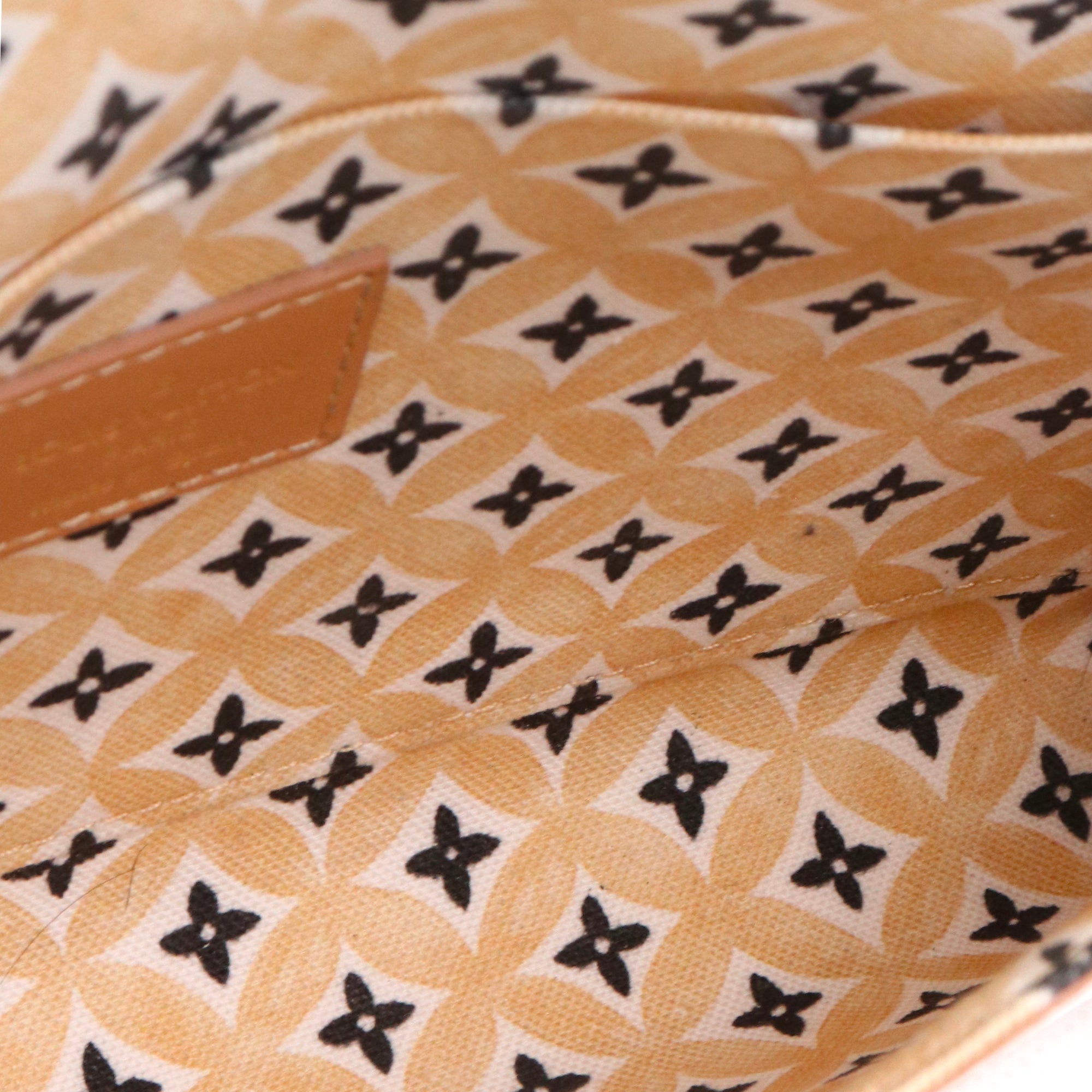 LOUIS VUITTON - Pochette Felicie Resort 2023 Louis Vuitton en toile enduite
