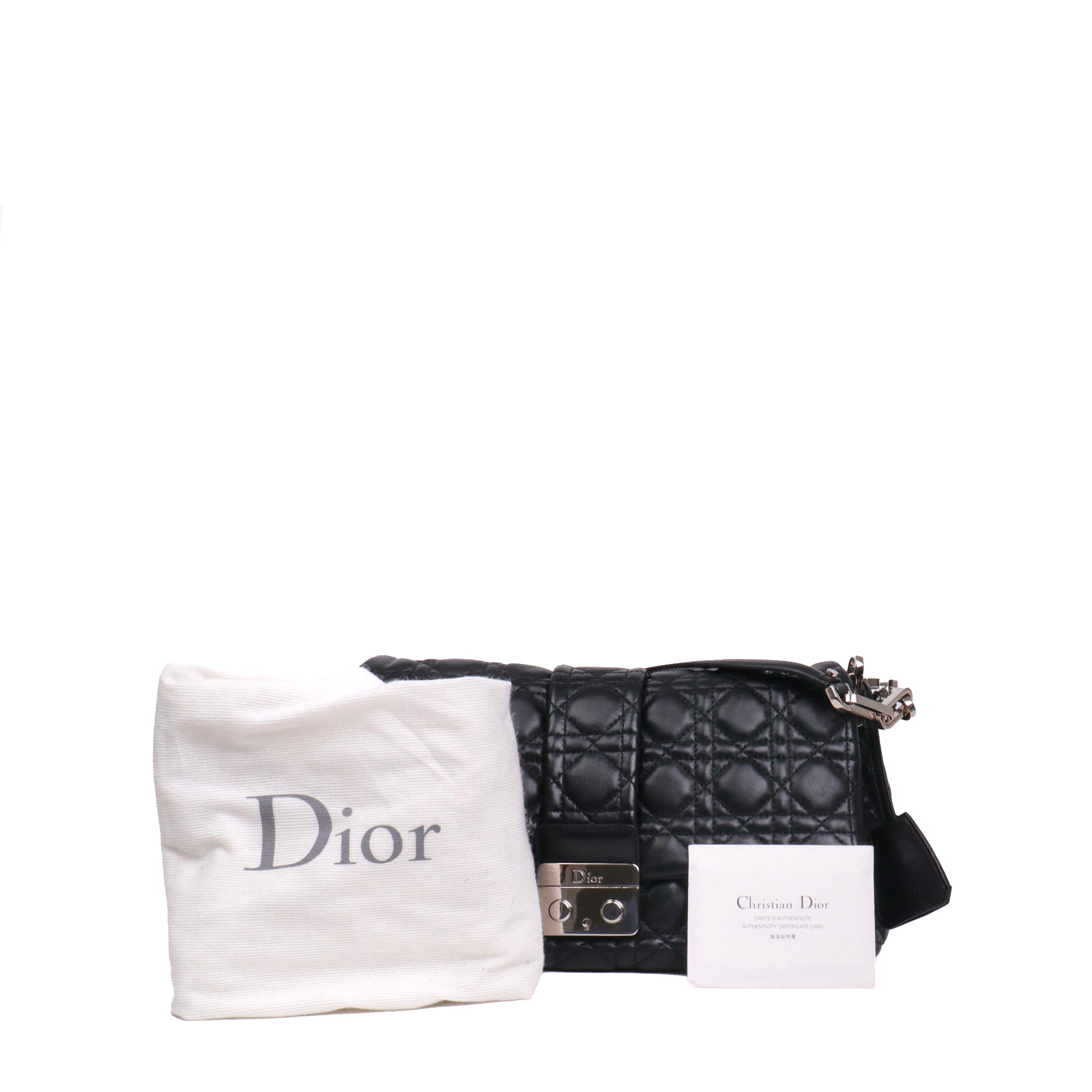 DIOR - Roller shoulder bag in navy blue grained leather