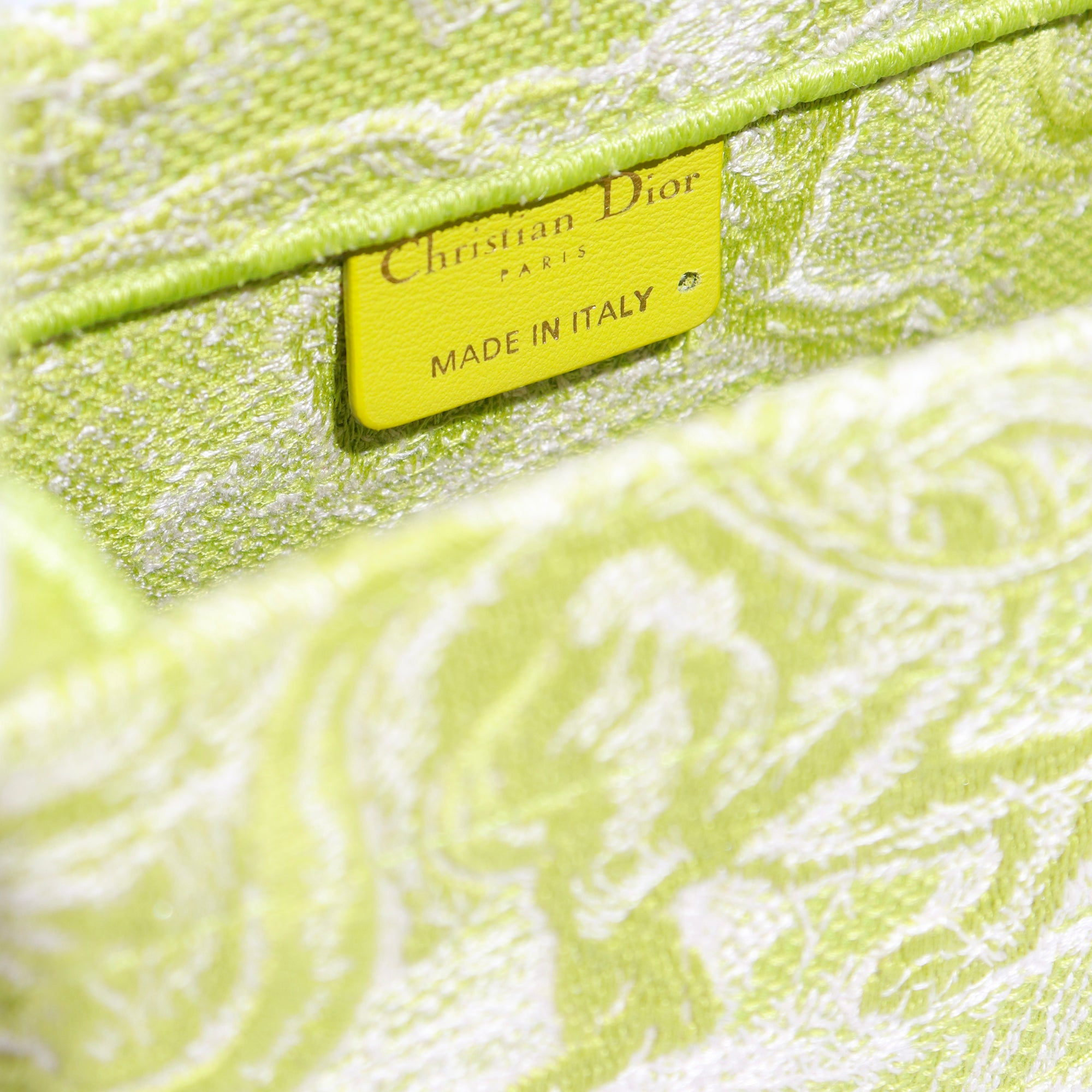 DIOR - Book Tote Medium Toile de Jouy anise green shopping bag
