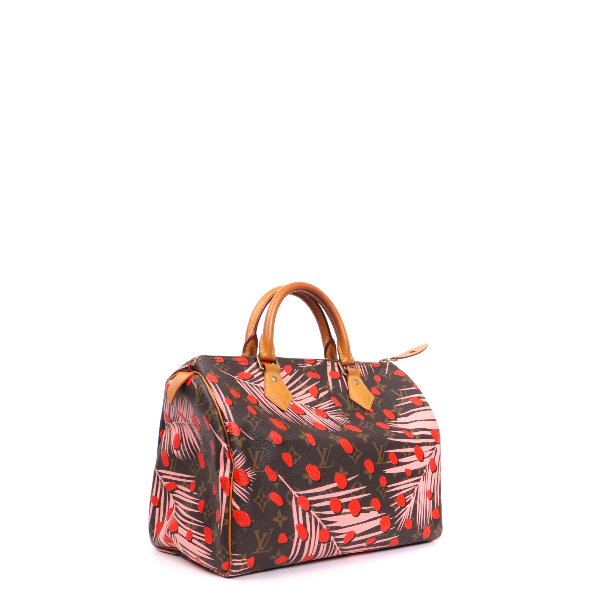 LOUIS VUITTON - Speedy 30 shoulder strap Damier Ebony