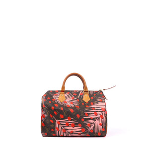 LOUIS VUITTON - Speedy 30 shoulder strap Damier Ebony