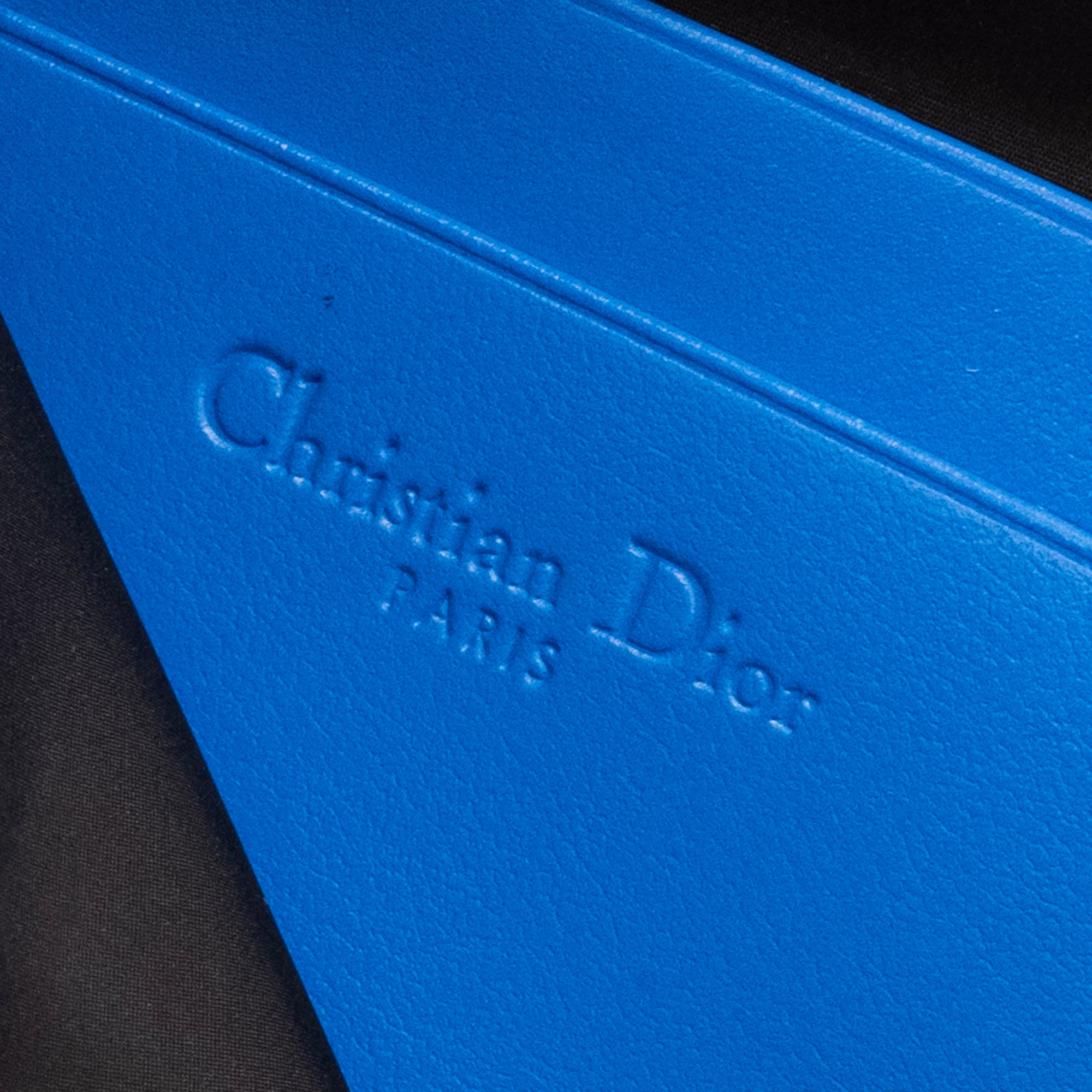 DIOR - Sac à bandoulière Dior en toile de jouy bleue