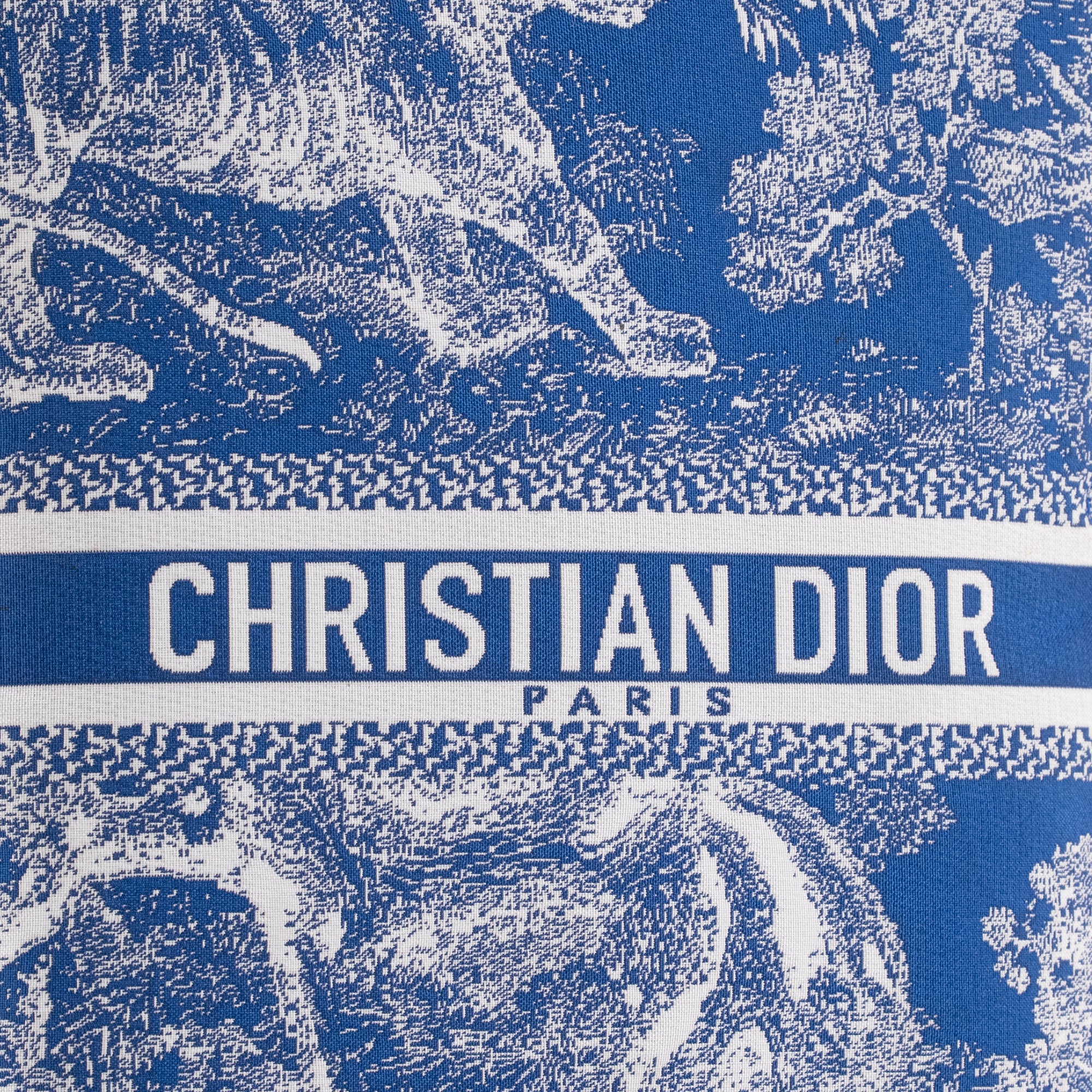 DIOR - Sac à bandoulière Dior en toile de jouy bleue