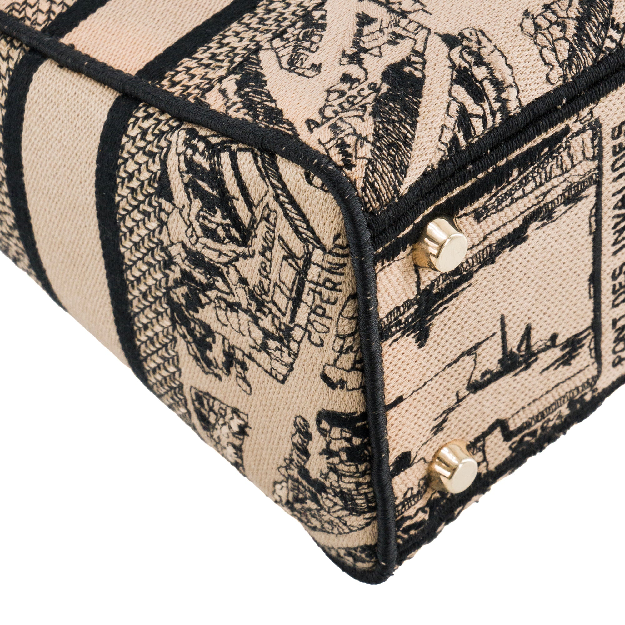 DIOR - Sac à bandoulière Lady D-Lite Plan de Paris Dior en toile marron édition limitée