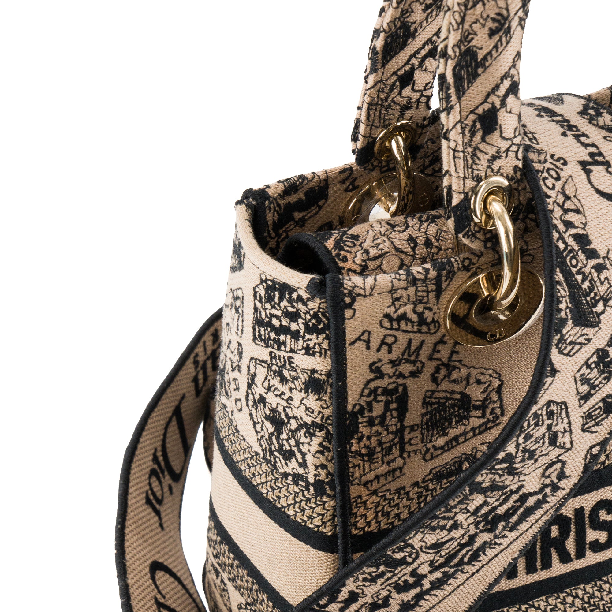 DIOR - Sac à bandoulière Lady D-Lite Plan de Paris Dior en toile marron édition limitée