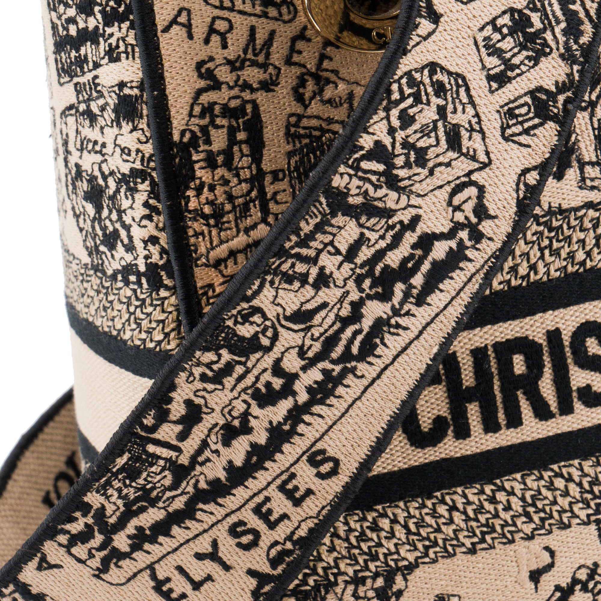 DIOR - Sac à bandoulière Lady D-Lite Plan de Paris Dior en toile marron édition limitée