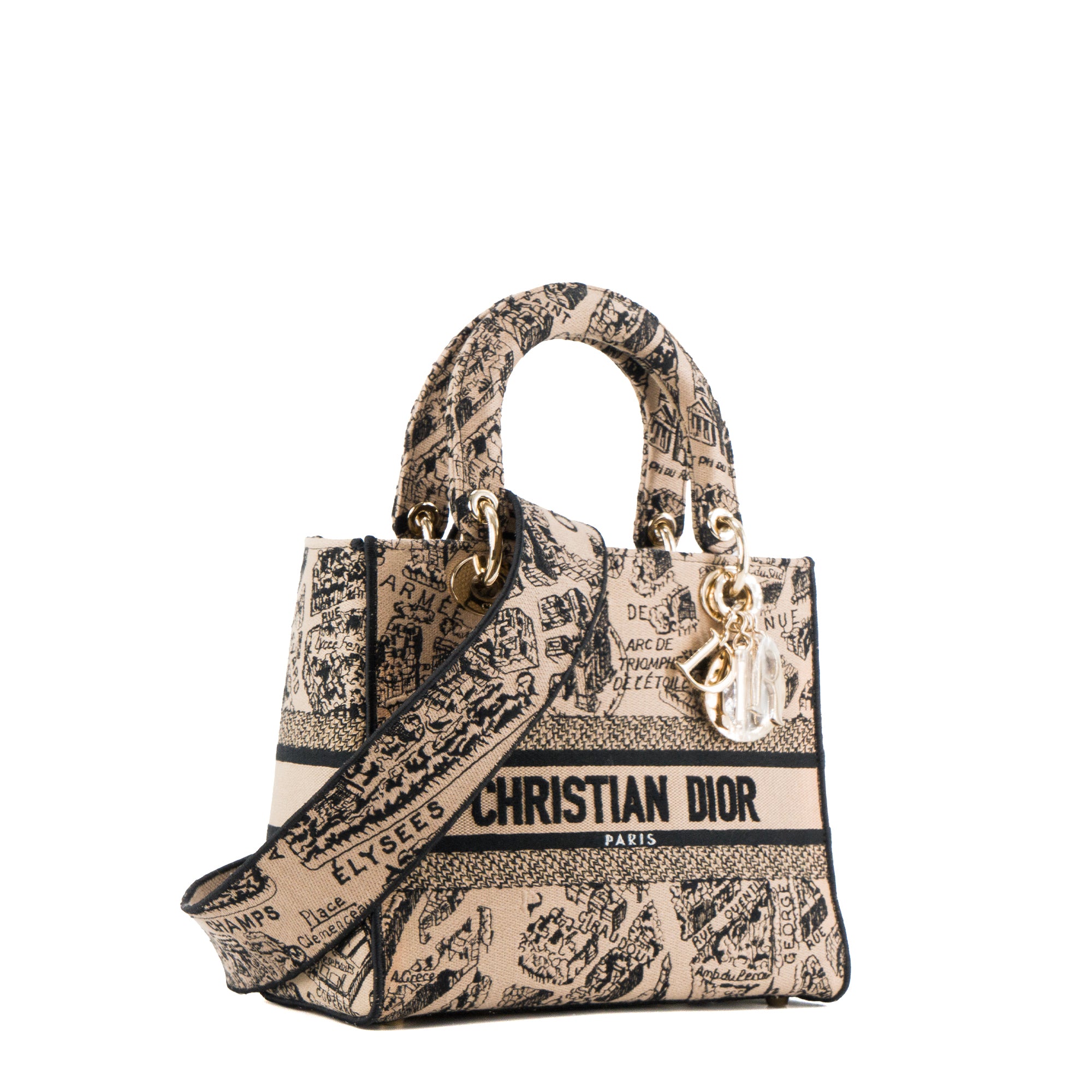 DIOR - Sac à bandoulière Lady D-Lite Plan de Paris Dior en toile marron édition limitée