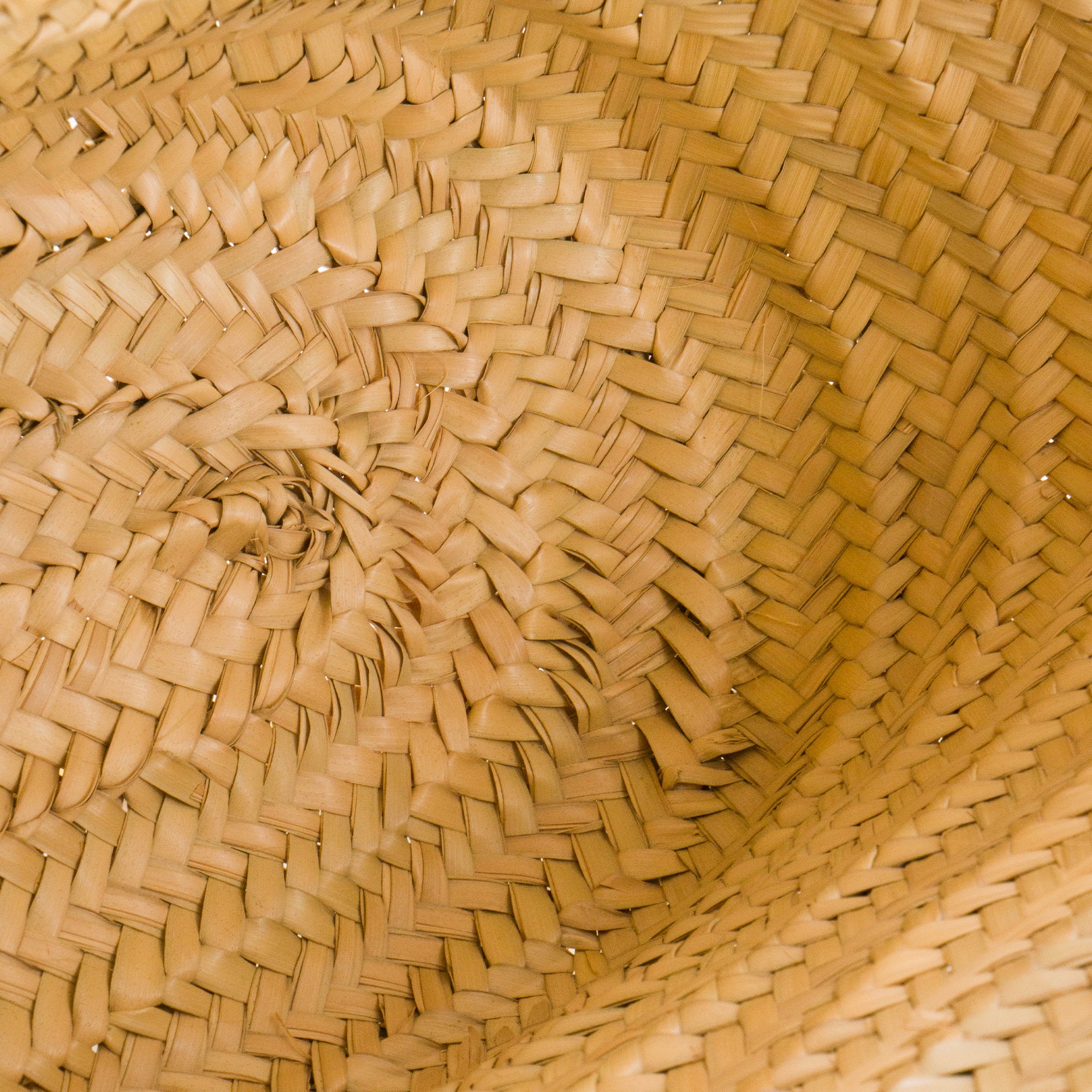 JACQUEMUS - Sac cabas Le Panier Soli Jacquemus en raphia et cuir jaune