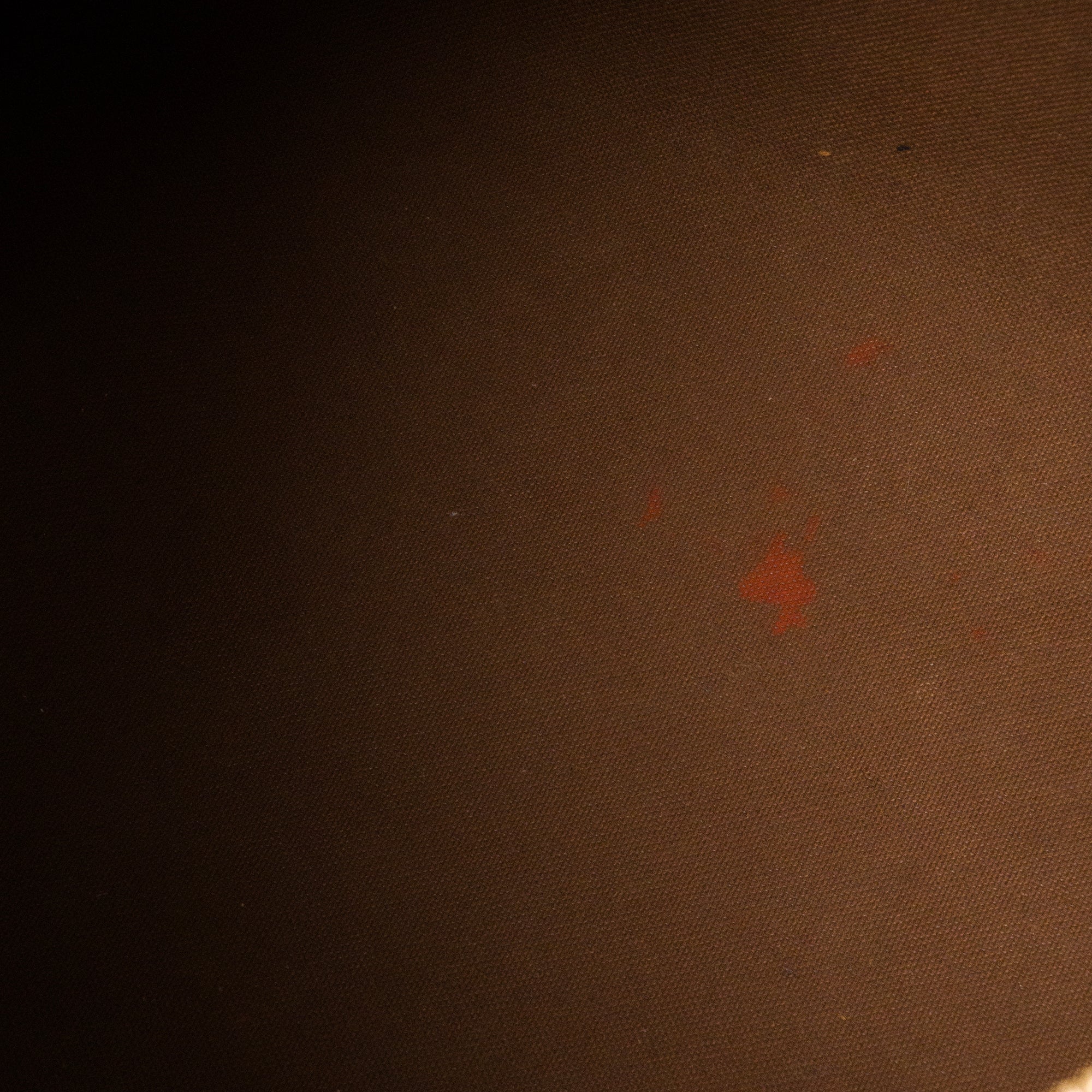 LOUIS VUITTON - Sac à bandoulière Speedy 30 bandoulière World Tour Louis Vuitton en toile enduite monogrammée édition limitée