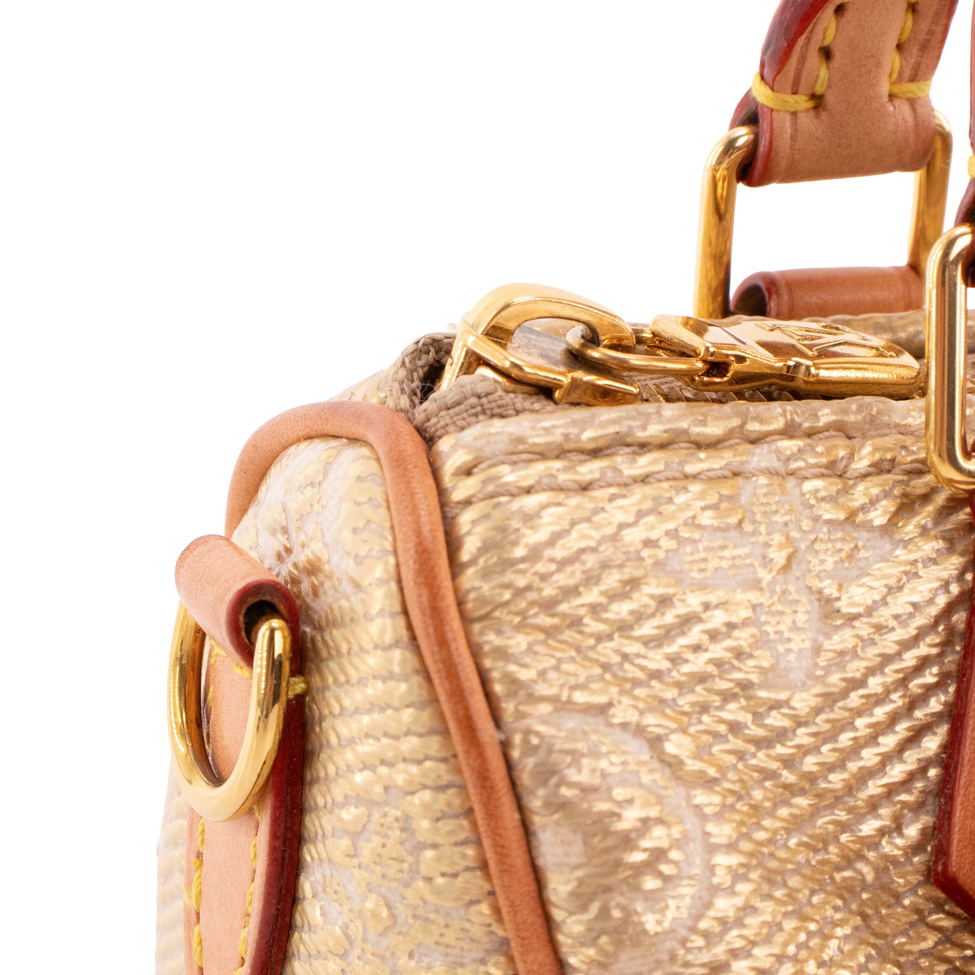 LOUIS VUITTON - Louis Vuitton Nano Speedy handbag in gold monoglam coated canvas