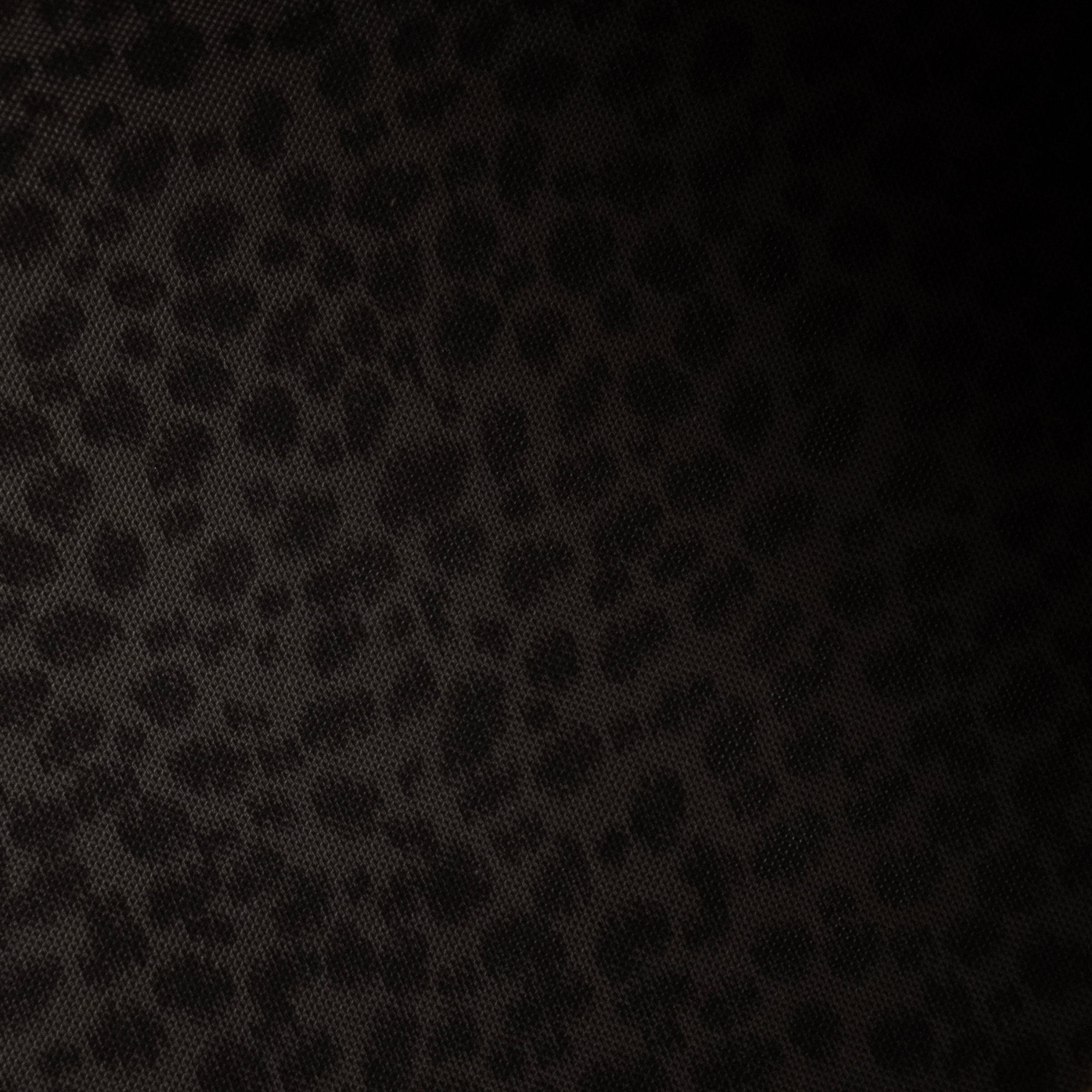 LOUIS VUITTON - Sac à main Speedy 25 Wild at Heart Louis Vuitton en toile enduite monogrammée giant édition limitée