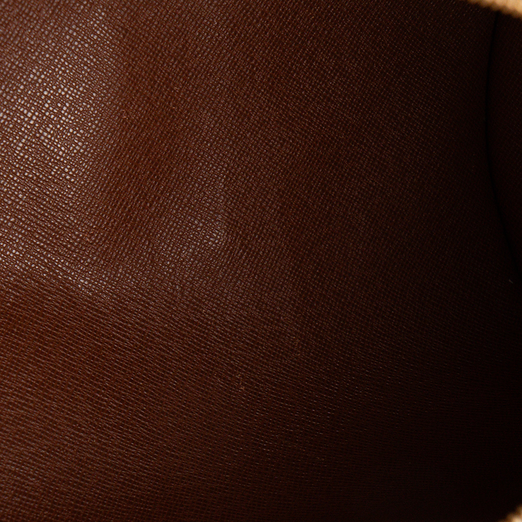 LOUIS VUITTON - Sac à main Papillon Louis Vuitton en toile monogrammée vintage