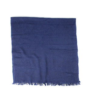 DIOR - Wool and silk scarf