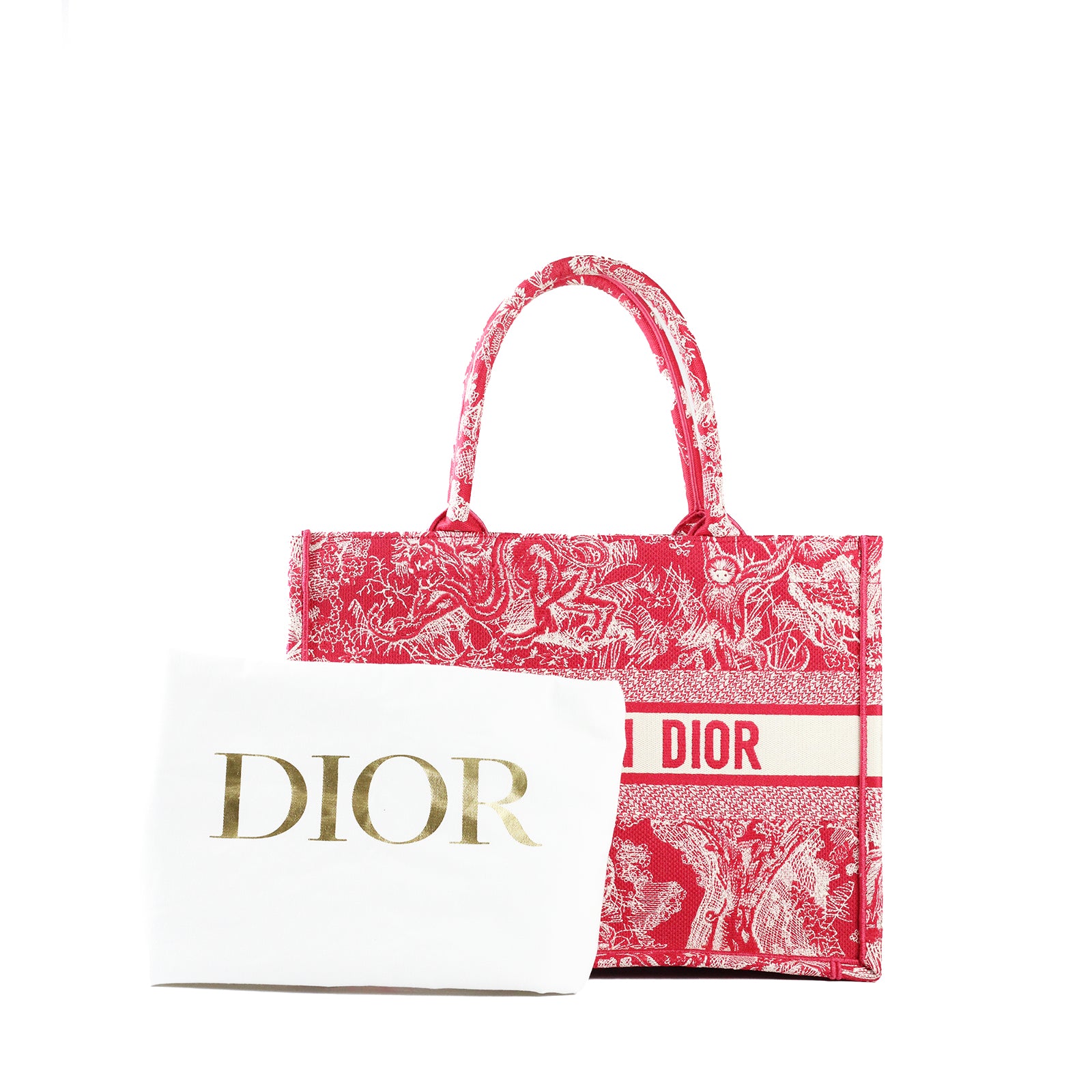 DIOR - Book Tote Medium Toile de Jouy