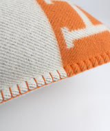 Hermès coussin Avalon